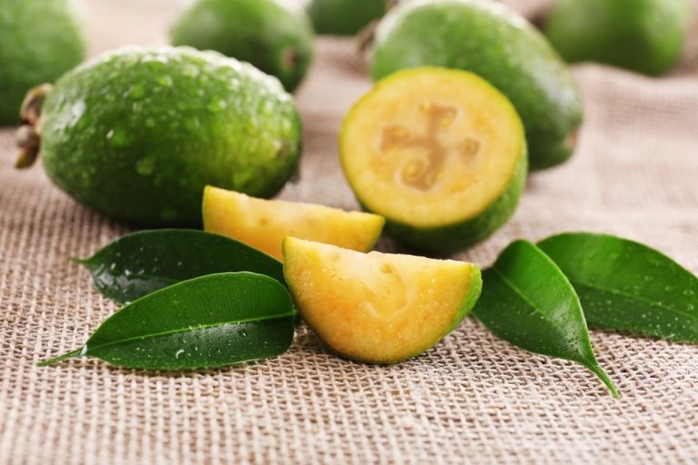 ¿PARA QUÉ SIRVE EL TÉ DE HOJA DE GUAYABA?