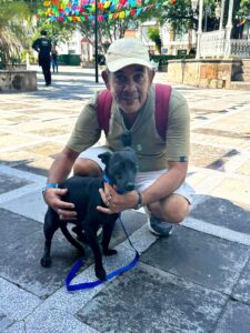 Jornada de adopción en Puerto Vallarta
