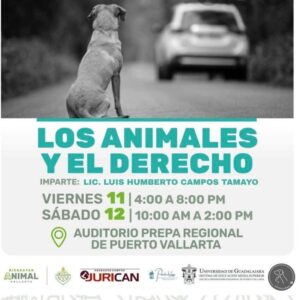 Taller sobre los derechos de los animales