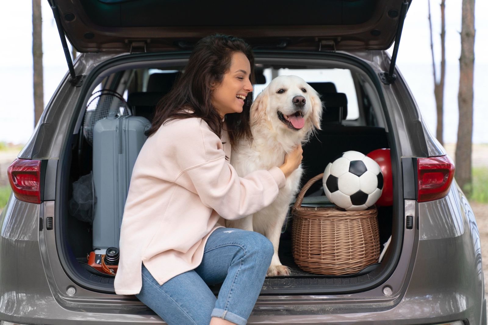¿Viajas con tu mascota? Consejos para un viaje seguro y sin estrés