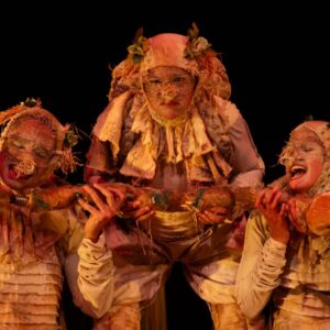 La escena nacional llega a Puerto Vallarta a través del Circuito Nacional de Artes Escénicas